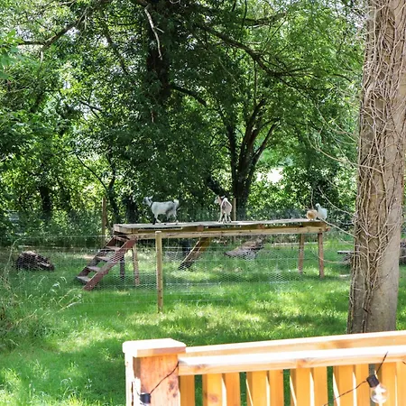 The Foxes Den Shepherds Hut Hébergement de vacances Bristol