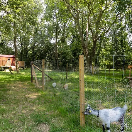 The Foxes Den Shepherds Hut Hébergement de vacances *