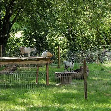 Hébergement de vacances The Foxes Den Shepherds Hut Bristol