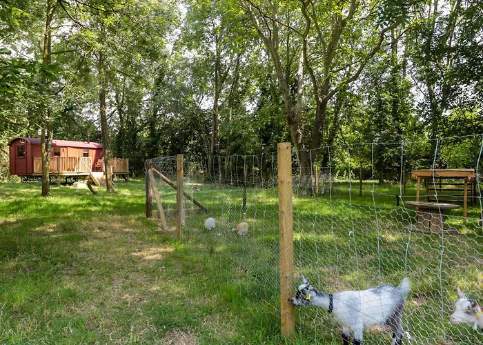 The Foxes Den Shepherds Hut Holiday home *