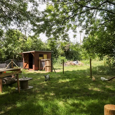 The Foxes Den Shepherds Hut